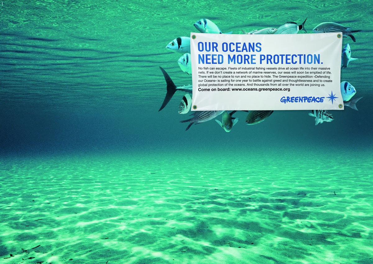 NUESTROS OCEANOS NECESITAN MAS PROTECCION